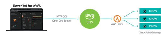 Reveal(x) for AWS + Check Point Integration Workflow