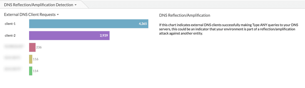 monitoring DNS ANY queries from external clients