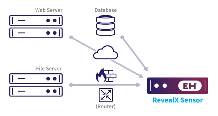 packet visibility on web, file and database servers going into a RevealX sensor graphic